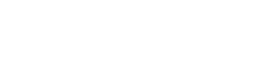 Dottz Build